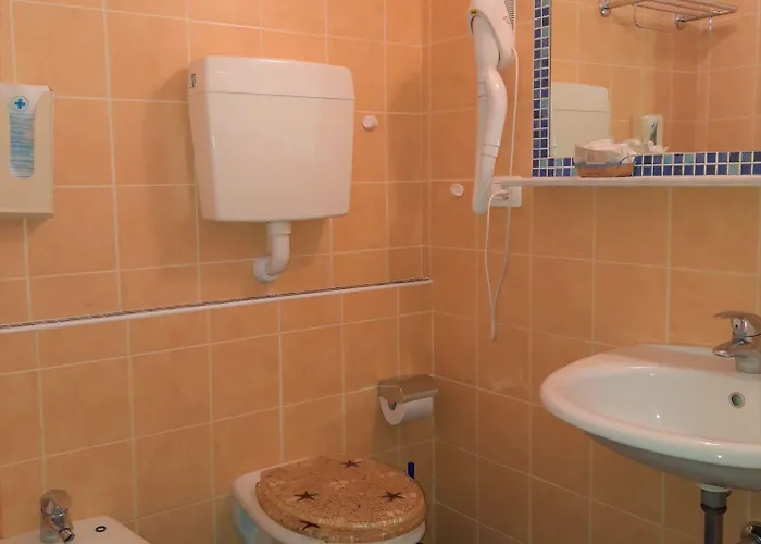 Marconi 卡托利卡